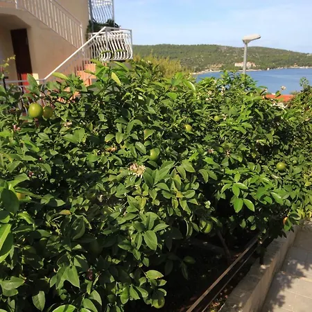 Apartman Vis 8448a *