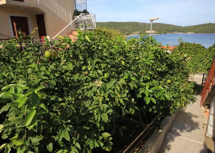 Apartment Vis 8448a *